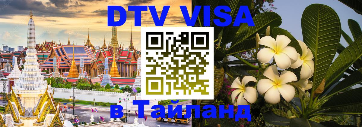 Оформление DTV визы под ключ: стоимость и тарифы, только загранпаспорт - 21.11.2025 